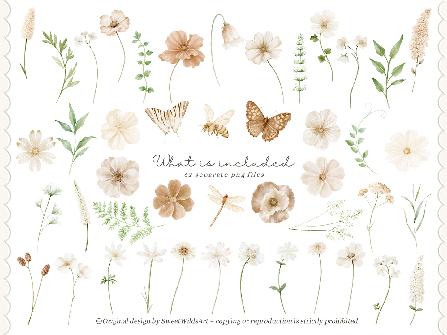 Sweet Wilds - Flowers Clipart, Meadow Flowers, Neutral Floral, Beige Ivory Flowers, Wildflower Baby Shower | 68 PNG/JPEG
