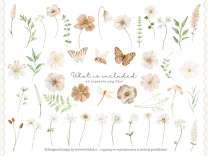 Sweet Wilds - Flowers Clipart, Meadow Flowers, Neutral Floral, Beige Ivory Flowers, Wildflower Baby Shower | 68 PNG/JPEG