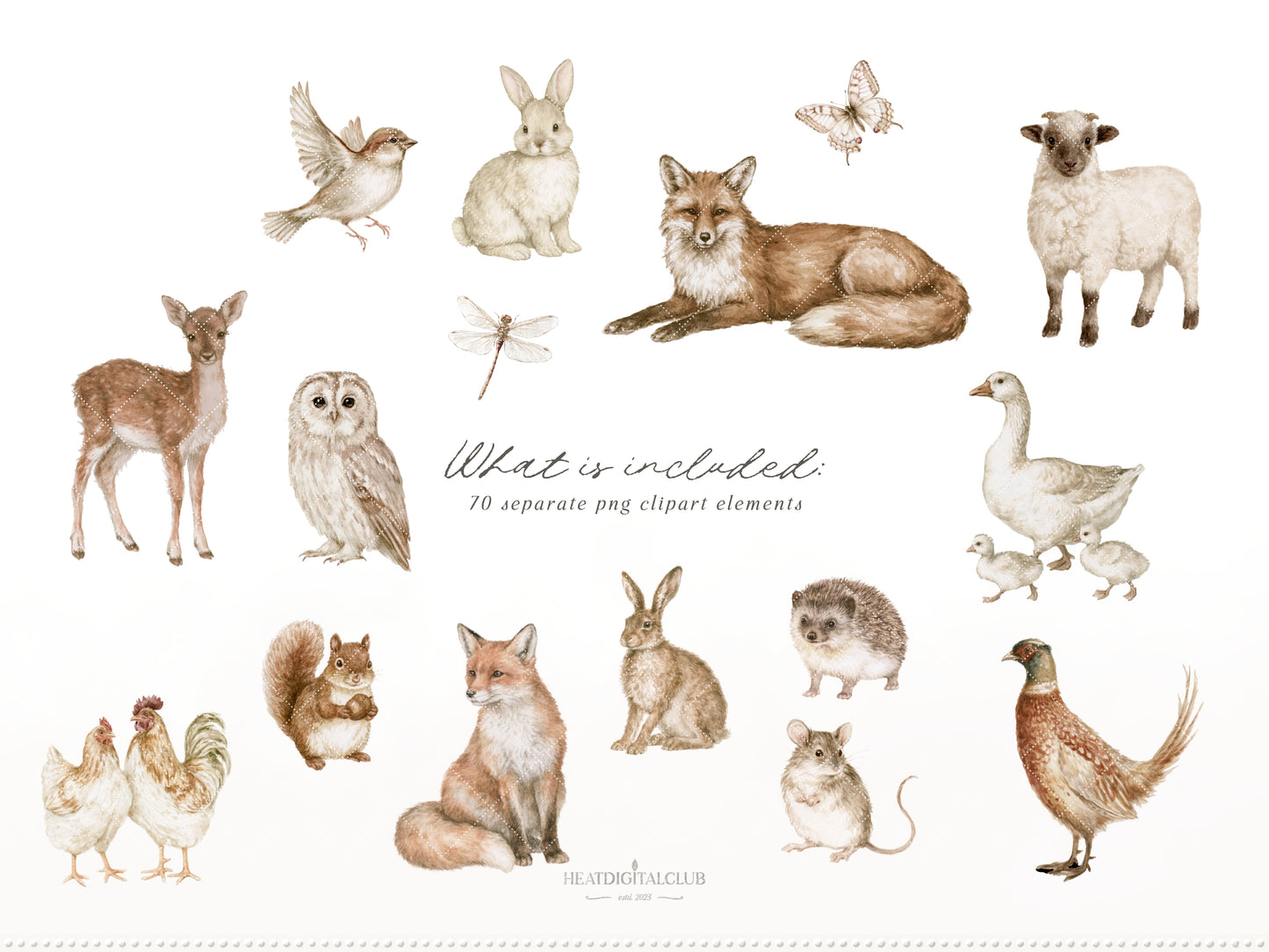 Autumn Menagerie - Watercolor Fall Clipart and Seamless Patterns Bundle, Rustic Garden Graphics | 90 PNG/JPEG