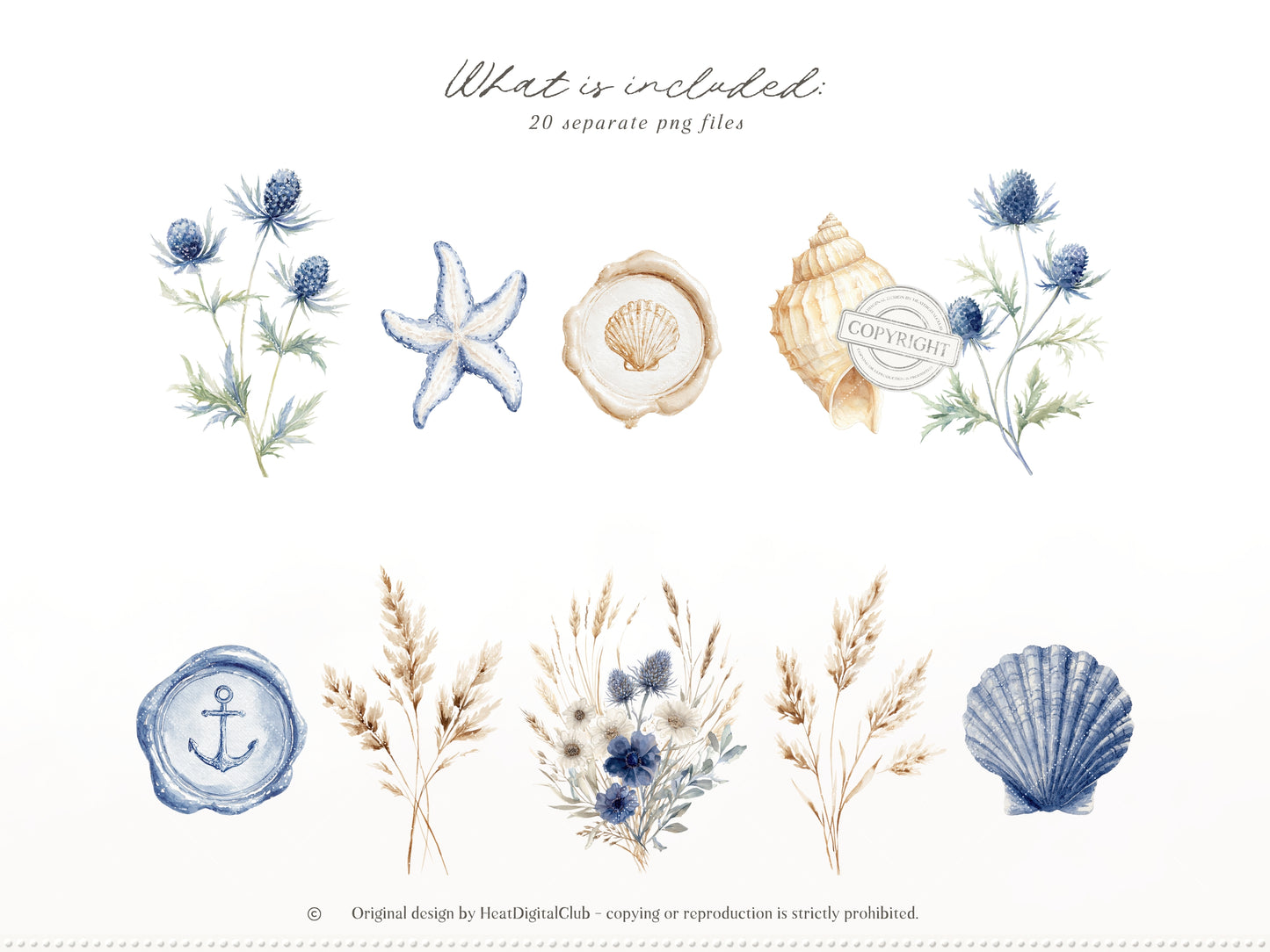 Cold Shore - Coastal Floral Arrangements, Navy Sea Flower, Beach Grass Bouquet, Ocean Botanical | 20 PNG