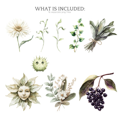 Magic Class - Floral Arrangements, Botanical Witchy Fantasy Clipart | 16 PNG