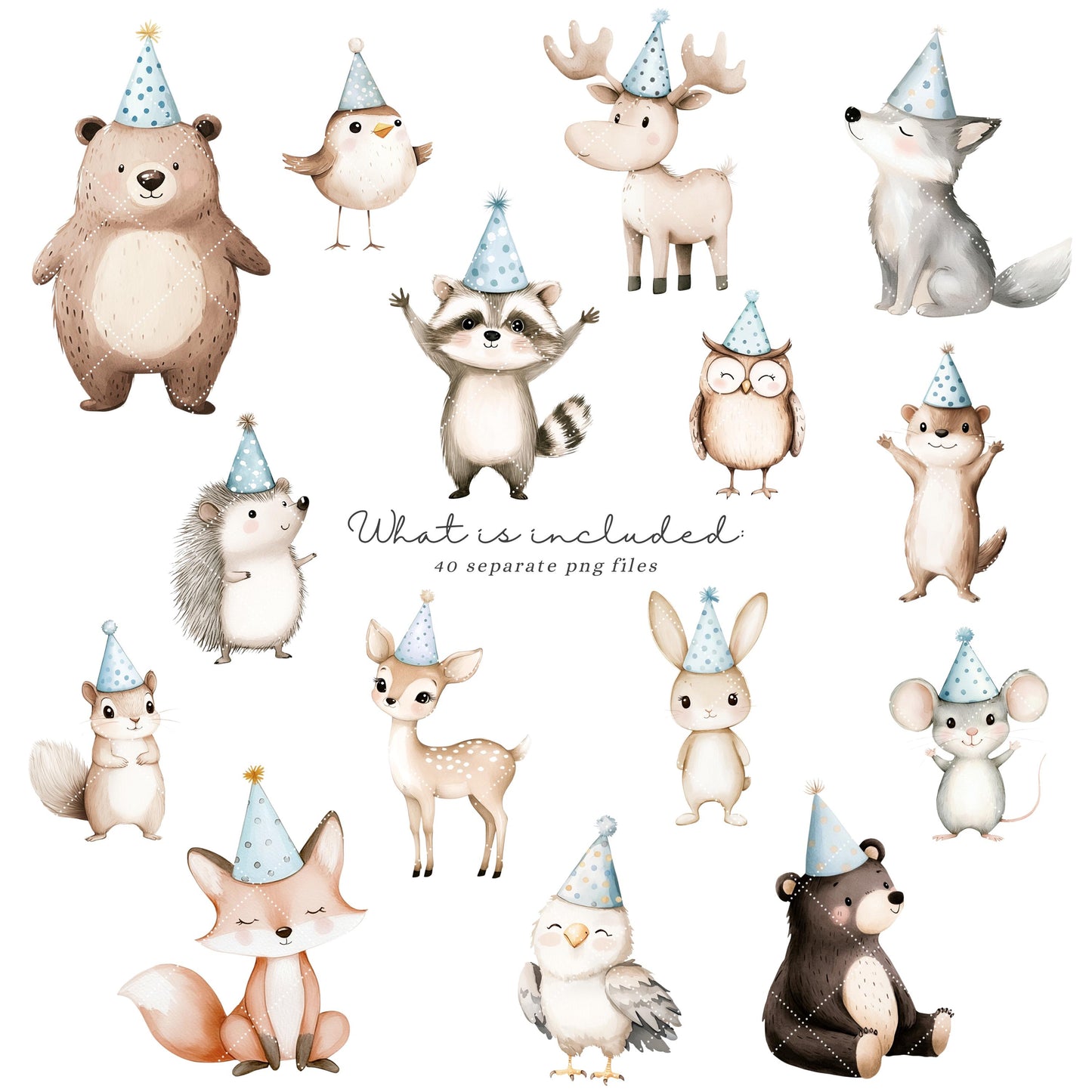 Birthday Friends - Cute Woodland, Baby Animal Clipart, Party, Boy Birthday | 40 PNG