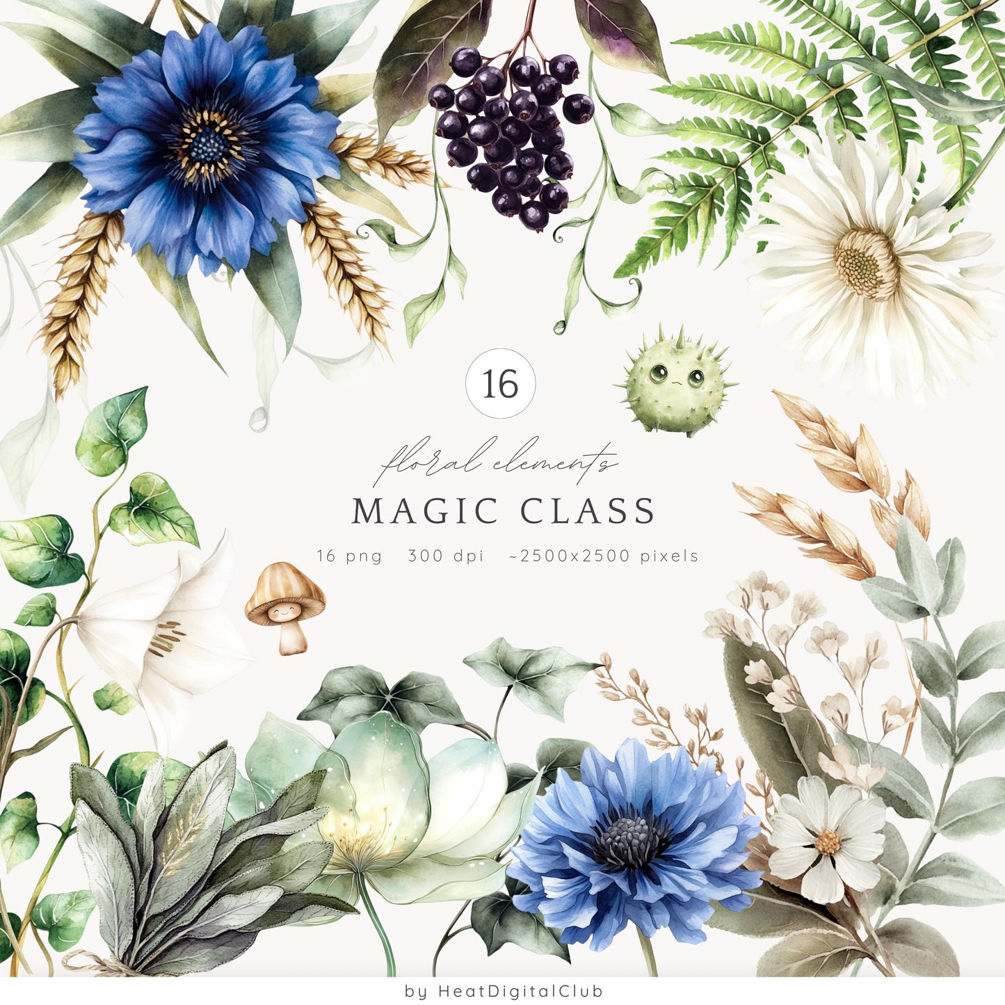 Magic Class - Collection Bundle, Wizard School Clipart, Witch | 88 PNG/JPEG