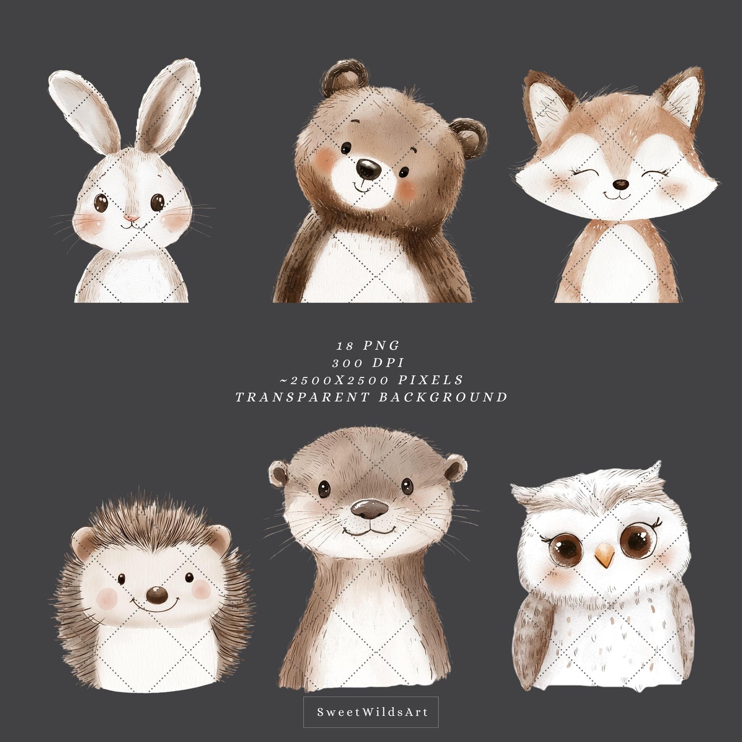 Woodland Portraits - Cute Animals Clipart, Baby Shower, Nursery, Boho Forest | 18 PNG