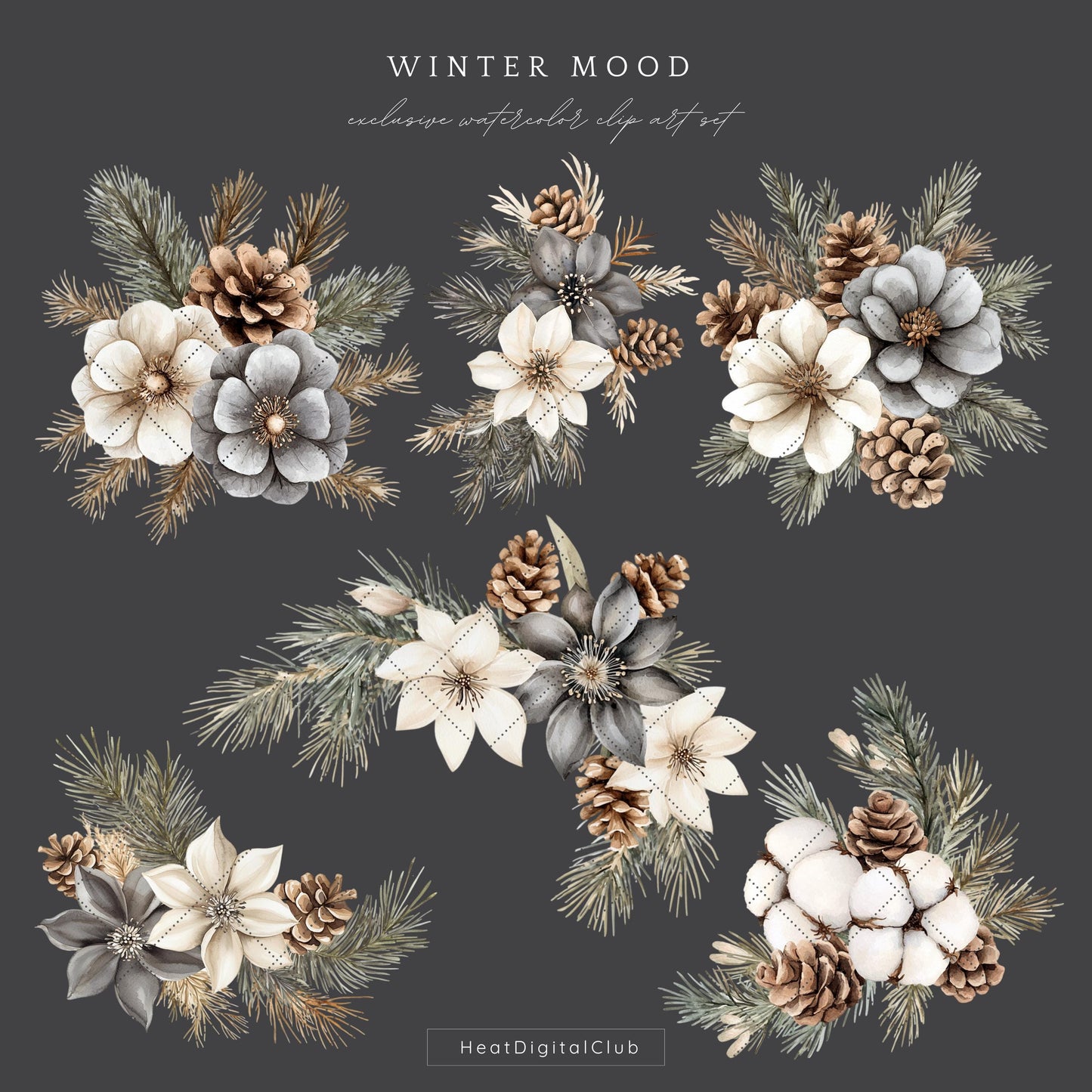 Winter Mood - Floral Arrangement, Cozy Clipart, Flowers, Poinsettia | 12 PNG