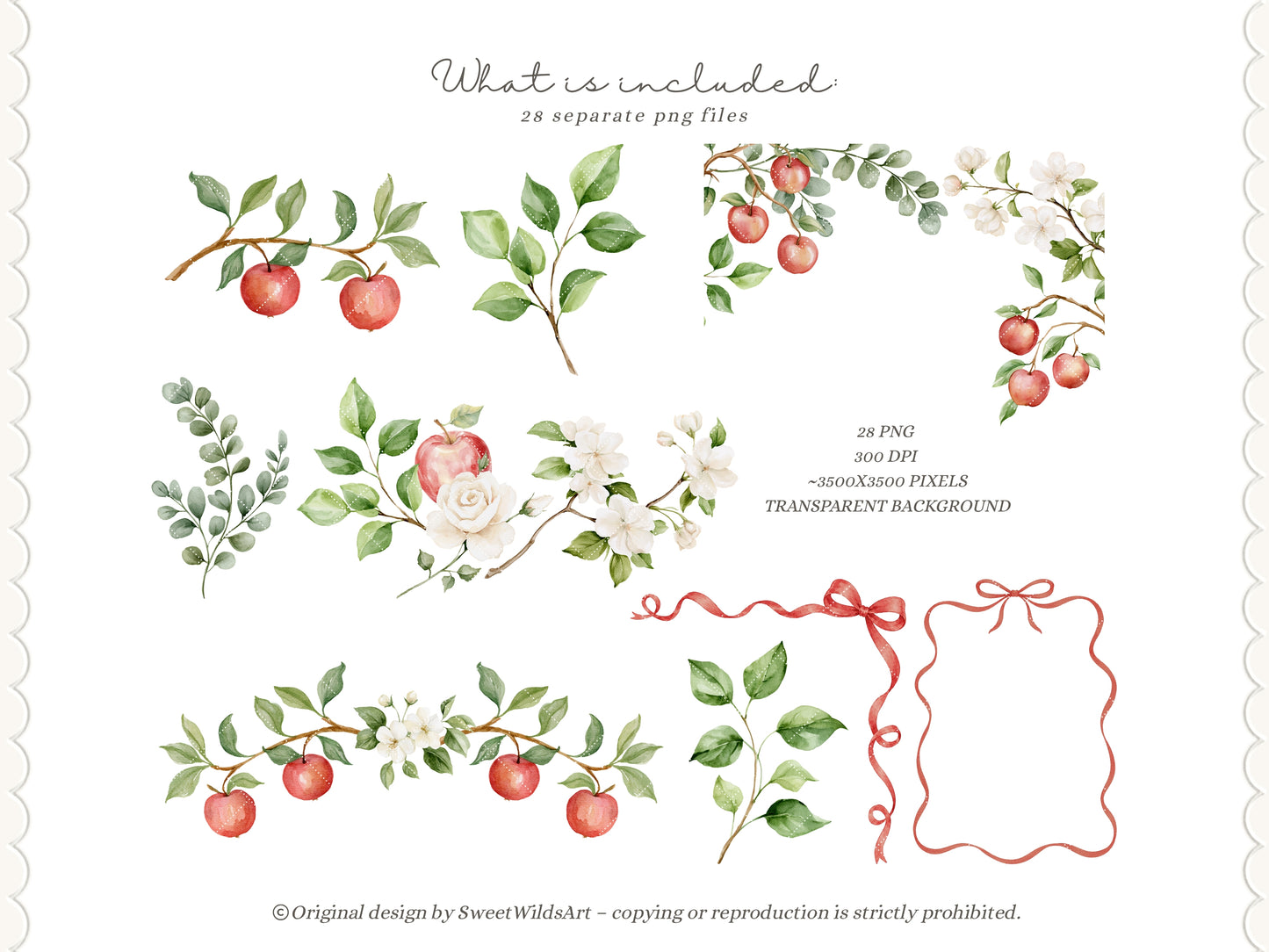 Apple Classics - Floral Clipart, Apple Blossom, Orchard Florals, Apple Branches, Nursery Flower | 28 PNG
