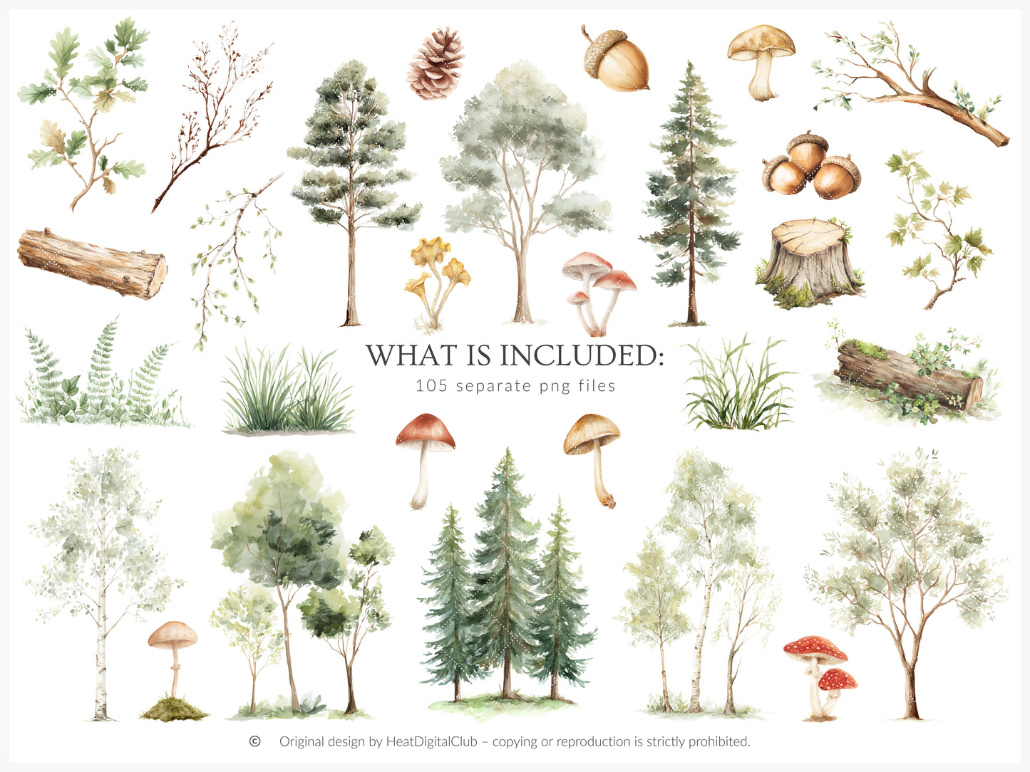 Woodland Archive - Clipart, Vintage Forest Scrapbook Set, Woodland Animals, Forest Papers | 105 PNG