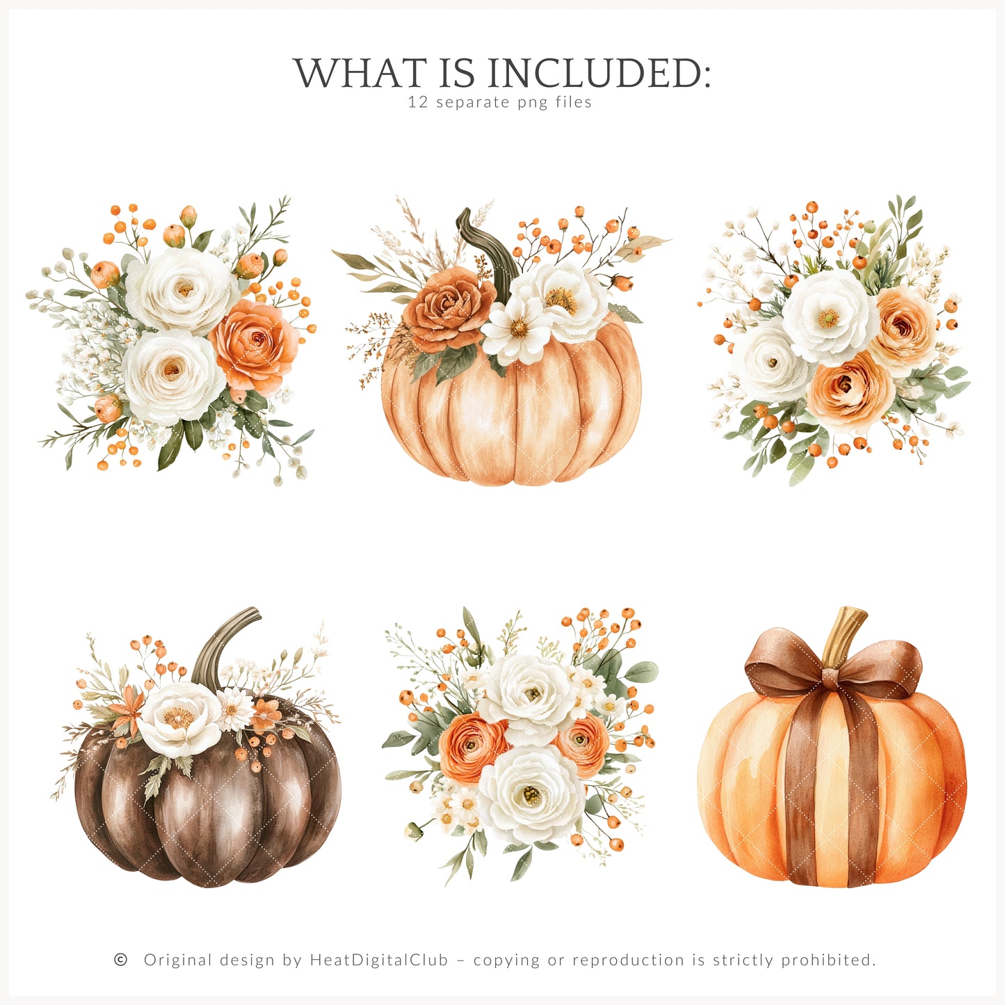 Born In Fall - Floral Arrangements Clipart, Autumn, Pumpkins, Soft Orange & Brown | 12 PNG