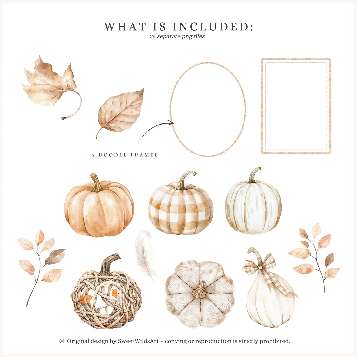 Autumn Season - Floral Arrangements, Fall Bouquets, Beige, Rustic Pumpkins | 25 PNG