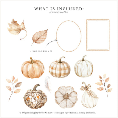 Autumn Season - Floral Arrangements, Fall Bouquets, Beige, Rustic Pumpkins | 25 PNG