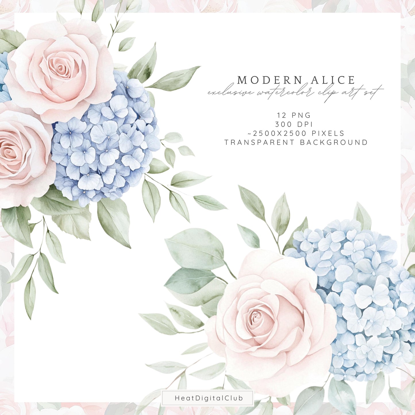 Modern Alice - Floral Arrangements Clipart, Pink Roses, Hydrangea | 12 PNG