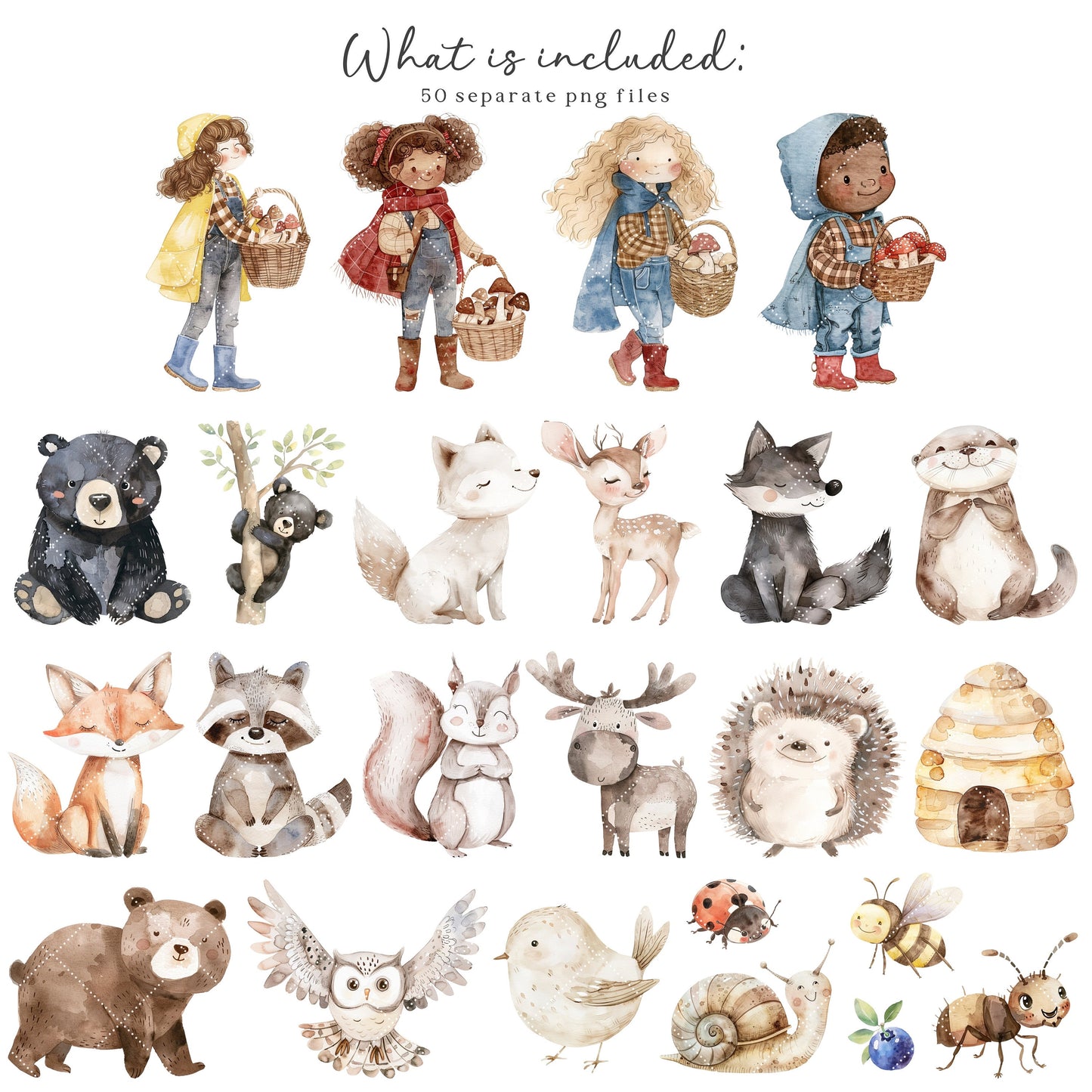 Woodland Adventure - Cute Animals Clipart, Baby Shower, Nursery, Boho Forest | 50 PNG