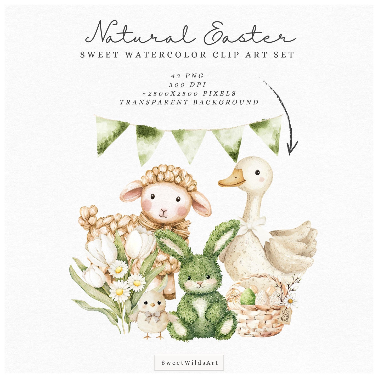 Natural Easter - Cute Easter Clipart, Bunny, Chick, Sheep, Egg, Floral | 43 PNG