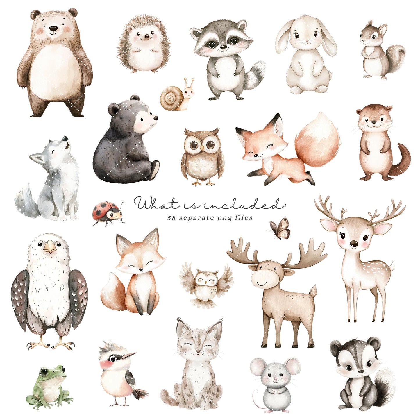 Woodland Story - Cute  Baby Animal Clipart, Baby Shower, Nursery | 58 PNG