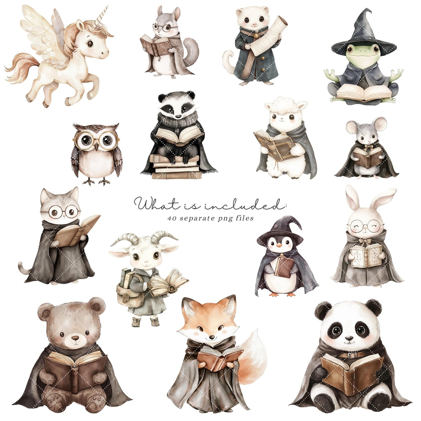 Magic Library - Baby Animals Clipart, Cute Magic School, Wizard Reading | 40 PNG
