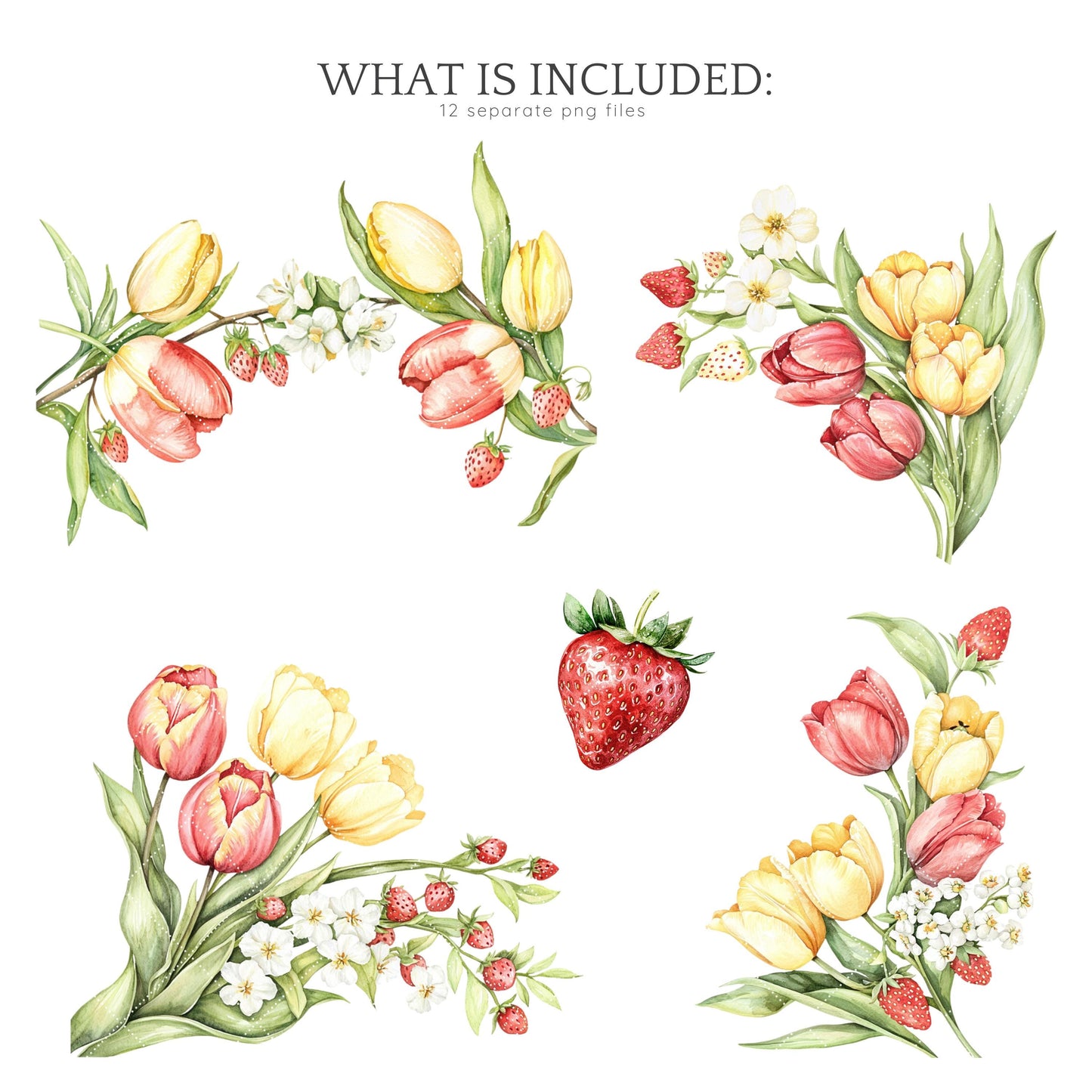 Warm Berry Spring - Floral Arrangements Clipart, Tulips Flowers | 12 PNG