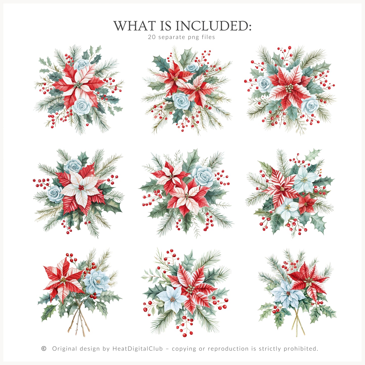 Holiday Circus - Floral Arrangements, Poinsettia, Festive Christmas Flowers | 20 PNG