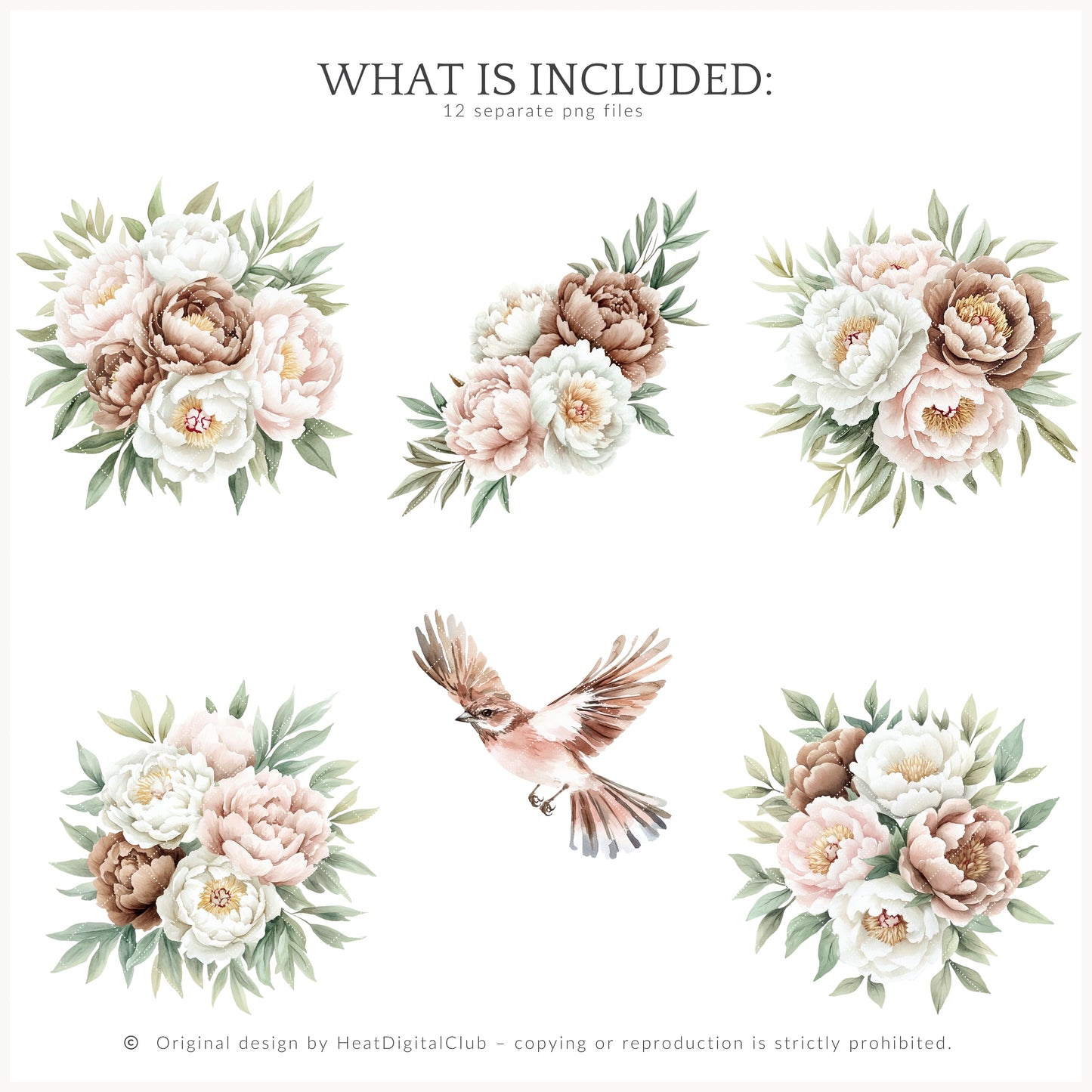 Blush Academia - Floral Arrangements, Peonies, Light Academia Flowers | 12 PNG
