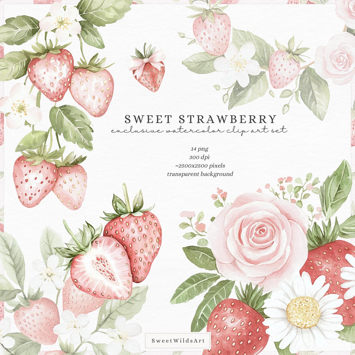 Sweet Strawberry - Strawberry and Rose Floral Arrangements | 14 PNG