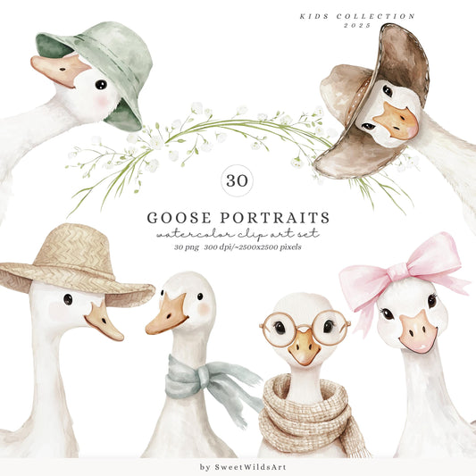 Goose Portraits - Cute Silly Goose Clipart, Nursery Baby Animals, Baby Shower | 30 PNG