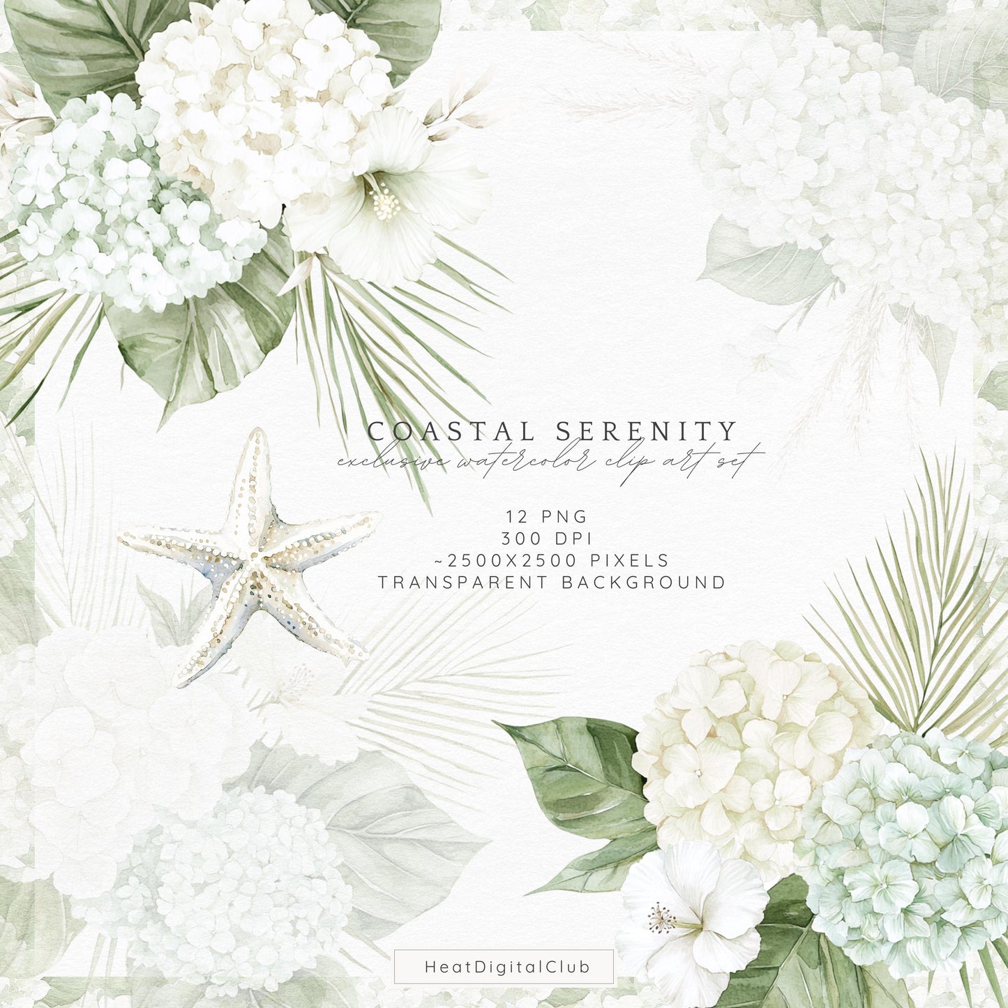 Coastal Serenity - Floral Arrangements, Botanical Clipart | 12 PNG