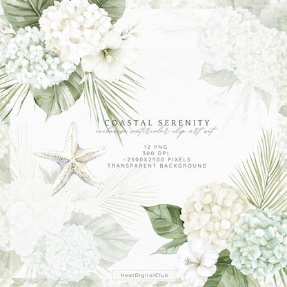 Coastal Serenity - Floral Arrangements, Botanical Clipart | 12 PNG