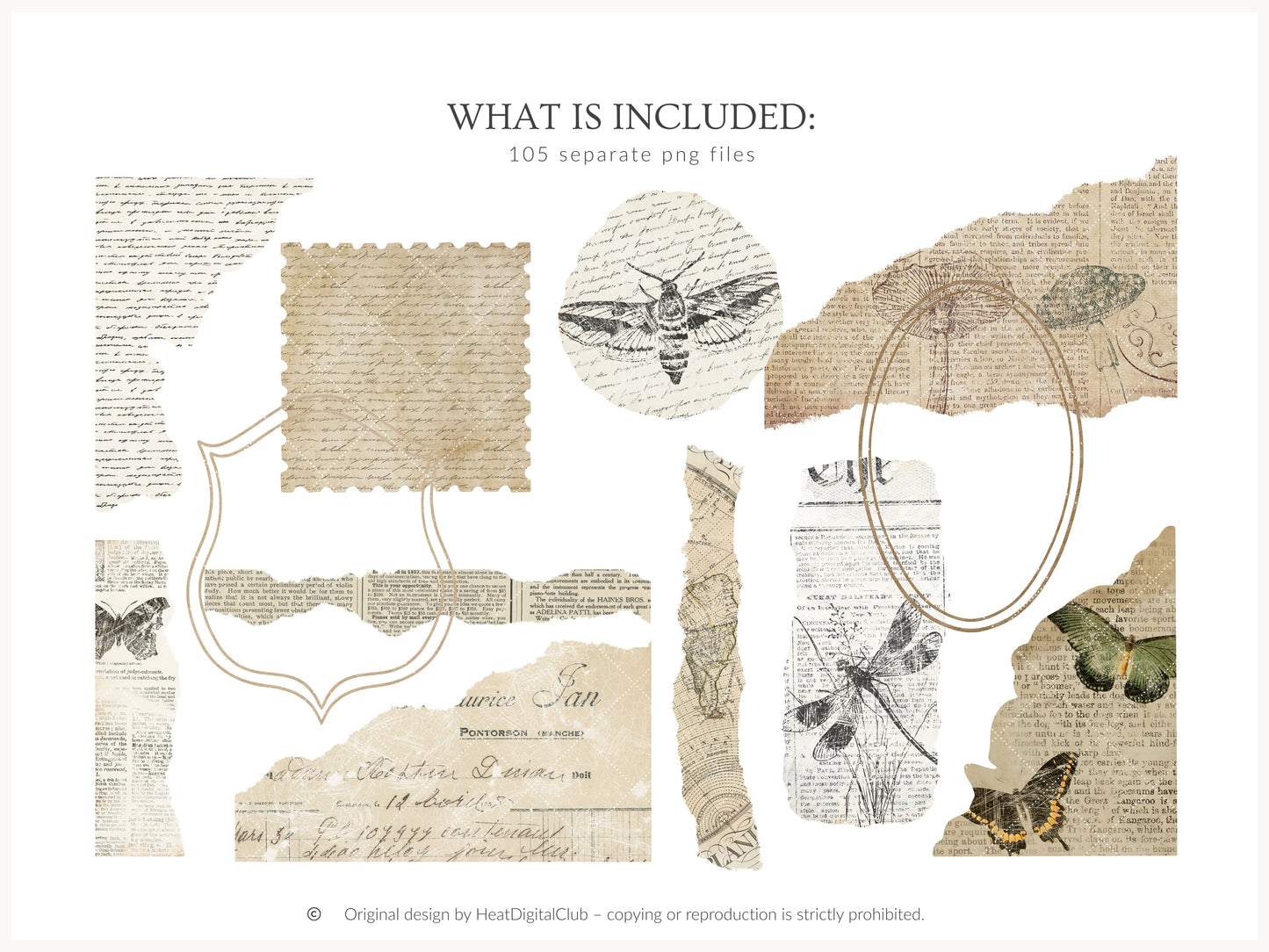 Woodland Archive - Clipart, Vintage Forest Scrapbook Set, Woodland Animals, Forest Papers | 105 PNG