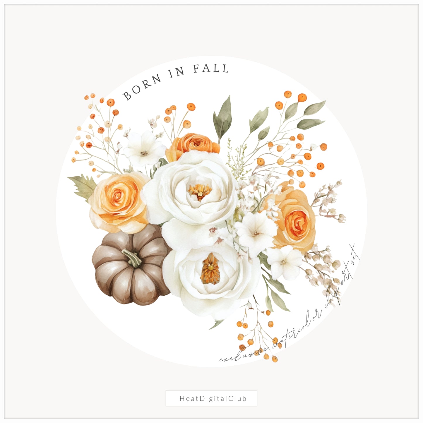 Born In Fall - Floral Arrangements Clipart, Autumn, Pumpkins, Soft Orange & Brown | 12 PNG
