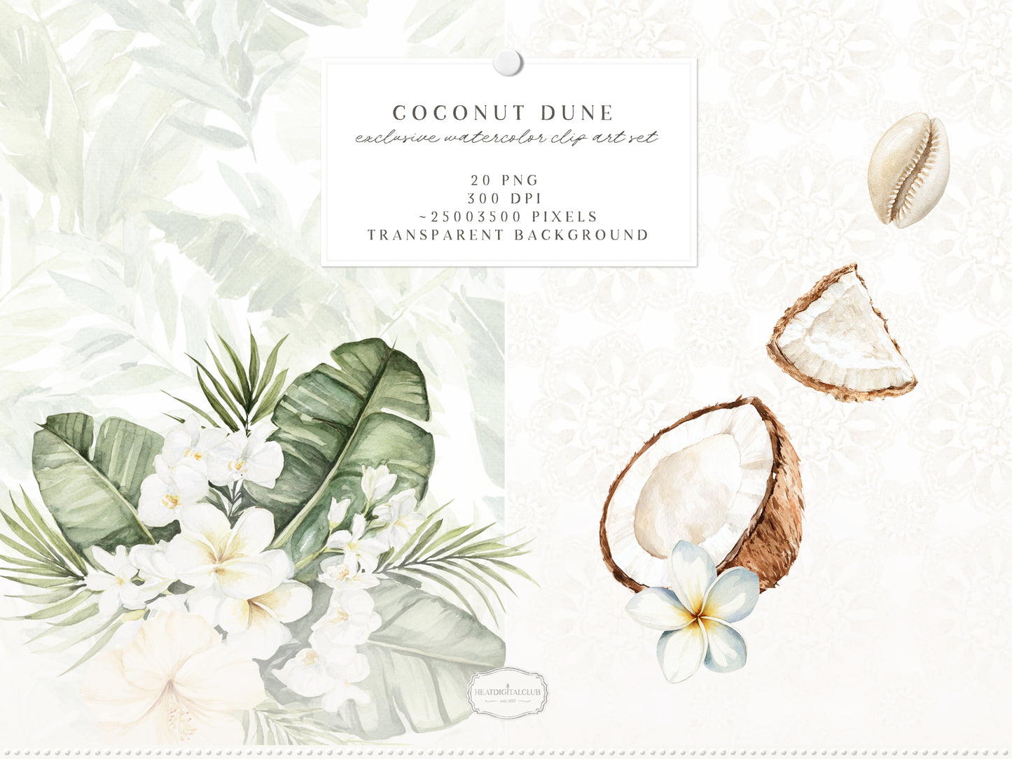 Coconut Dune - Tropical Floral Arrangements Clipart, Palm Leaves , White Beach Flowers | 20 PNG