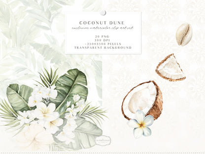 Coconut Dune - Tropical Floral Arrangements Clipart, Palm Leaves , White Beach Flowers | 20 PNG