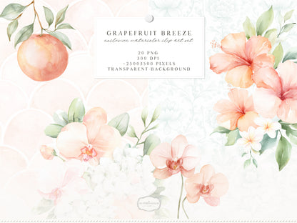 Grapefruit Breeze - Floral Arrangements, Summer Flowers Clipart, Tropical Florals, Citrus | 20 PNG