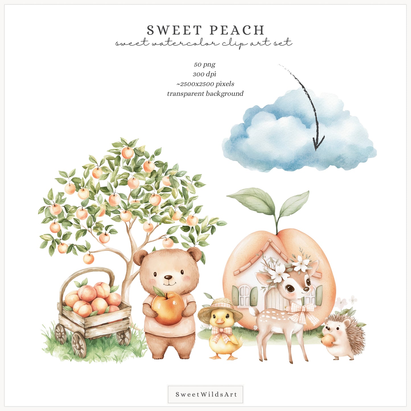 Sweet Peach - Cute Animals Clipart, Birthday, Summer Picnic, Baby | 50 PNG