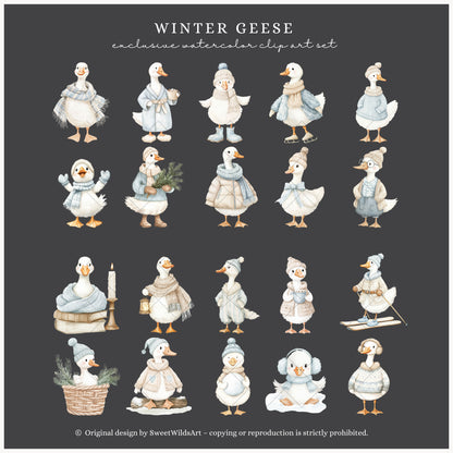 Winter Geese - Clipart, Cute Silly Goose, Cozy Animals, Baby Goose, Baby Shower | 60 PNG
