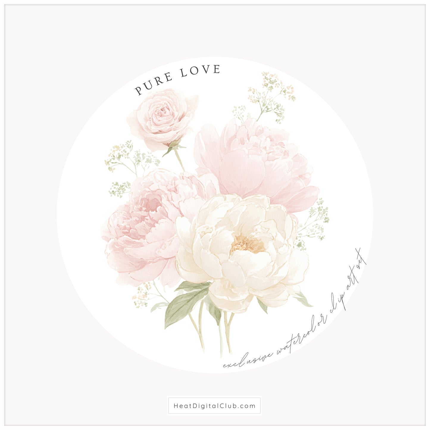 Pure Love - Floral Arrangements, Blush Pink Ivory, Romantic Bouquet, Feminine Peonies | 20 PNG