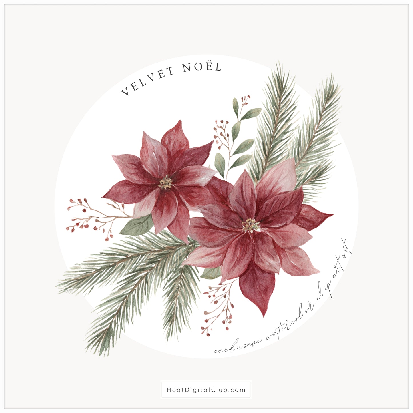 Velvet Noël - Christmas Floral Arrangements, Poinsettia Bouquets, Holiday Greenery | 30 JPEG