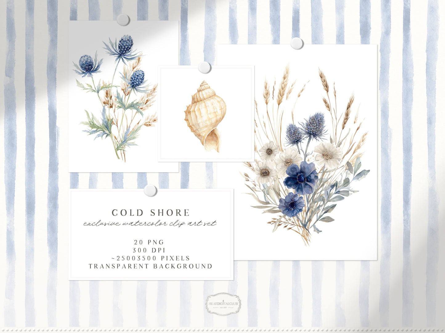 Cold Shore - Coastal Floral Arrangements, Navy Sea Flower, Beach Grass Bouquet, Ocean Botanical | 20 PNG