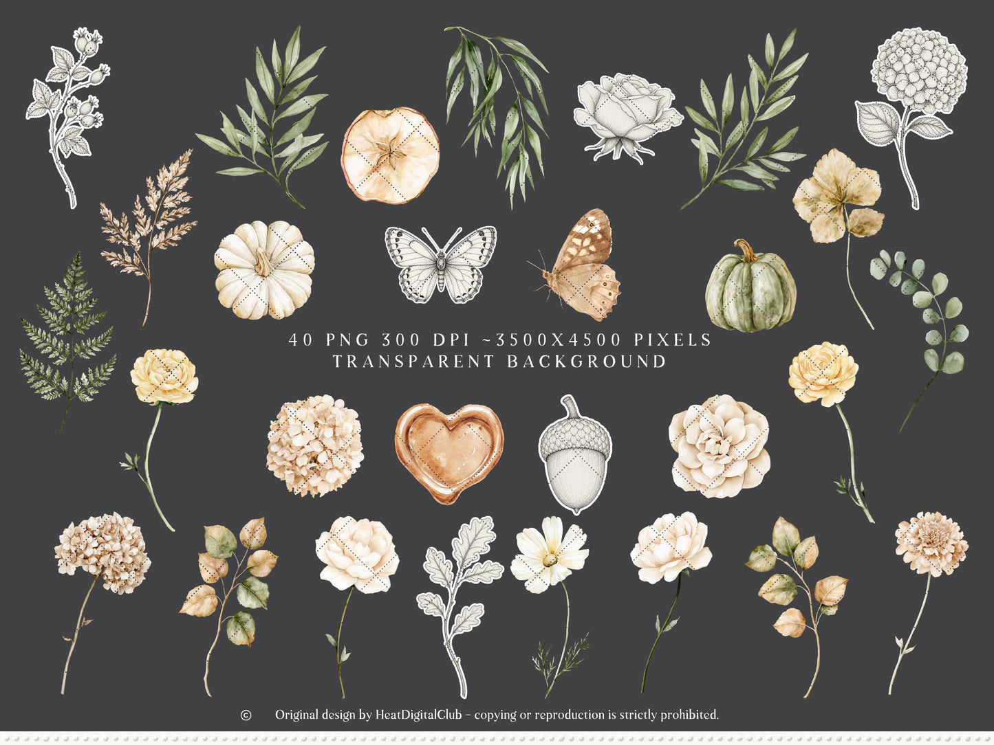Beloved Fall - Autumn Floral Arrangements Clipart, Pumpkin Flowers, Neutral Fall Flowers, Botanical |