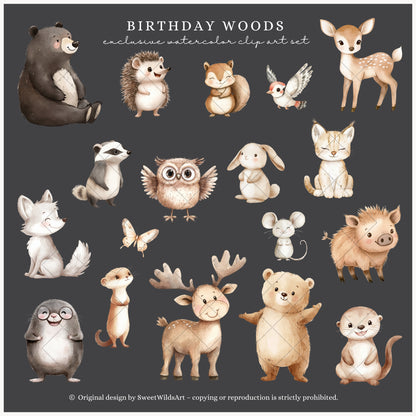 Birthday Woods - Woodland Animals, Cute Forest Party Clipart, Kids Party | 74 PNG