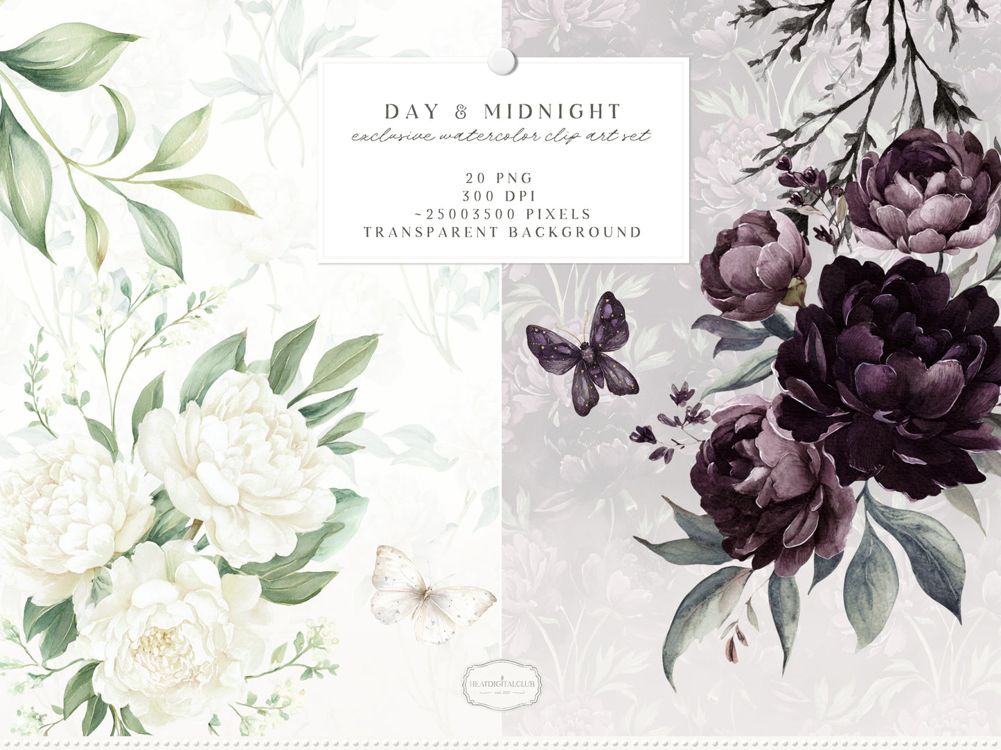 Day & Midnight -Floral Arrangements Clipart, Ivory & Dark Peony Watercolor Flowers, Gothic Romantic | 20 PNG