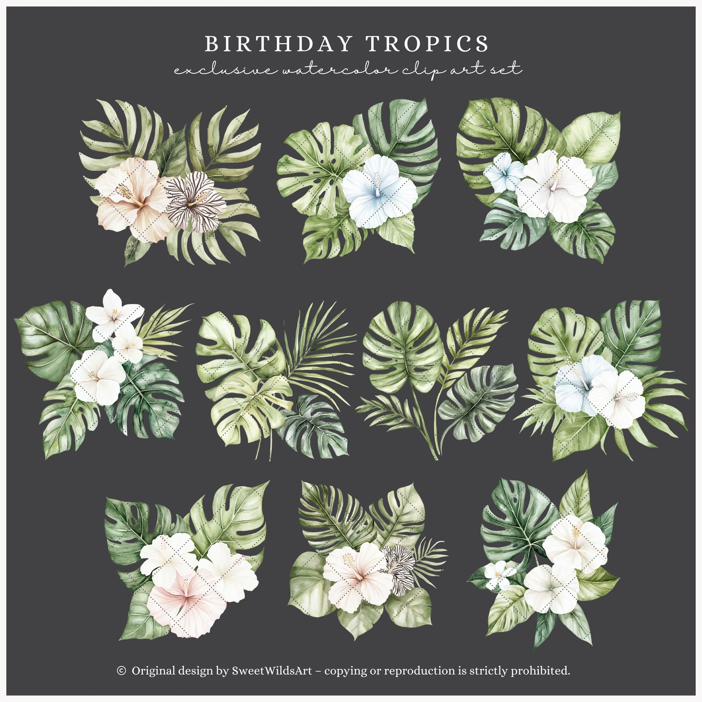 Birthday Tropics - Floral Arrangements Clipart, Jungle, Safari | 23 PNG