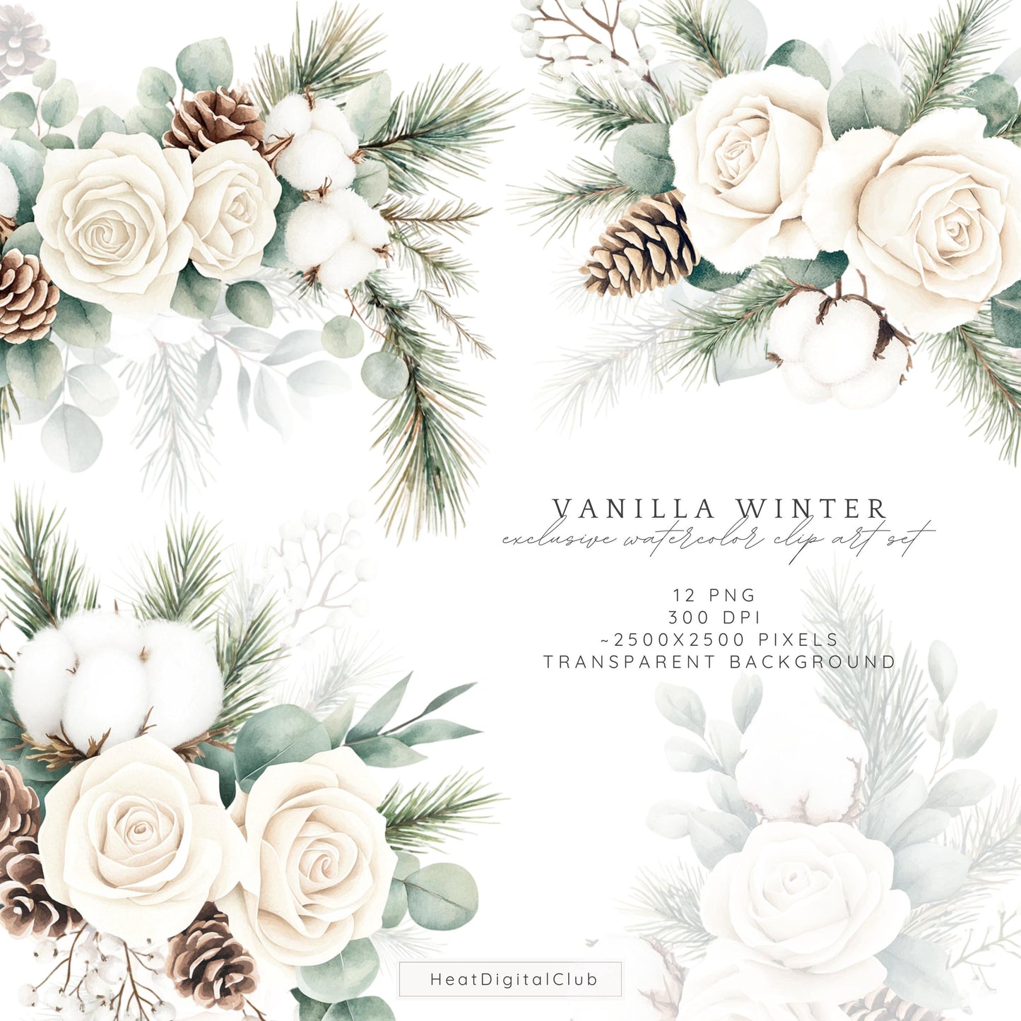 Vanilla Winter - Floral Arrangement, Cozy Roses Clipart, Poinsettia | 12 PNG