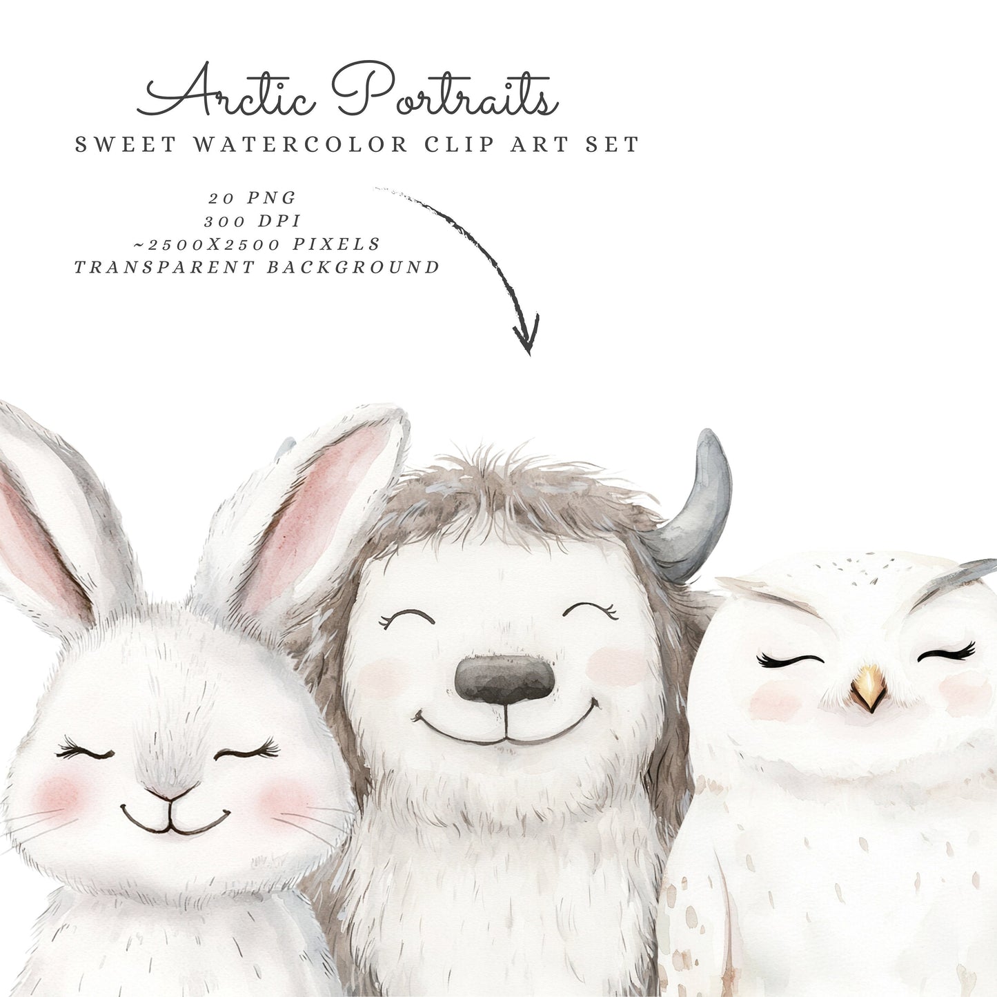 Arctic Portraits - Cute Animals Clipart, Winter Baby Shower, Polar Nursery | 20 PNG