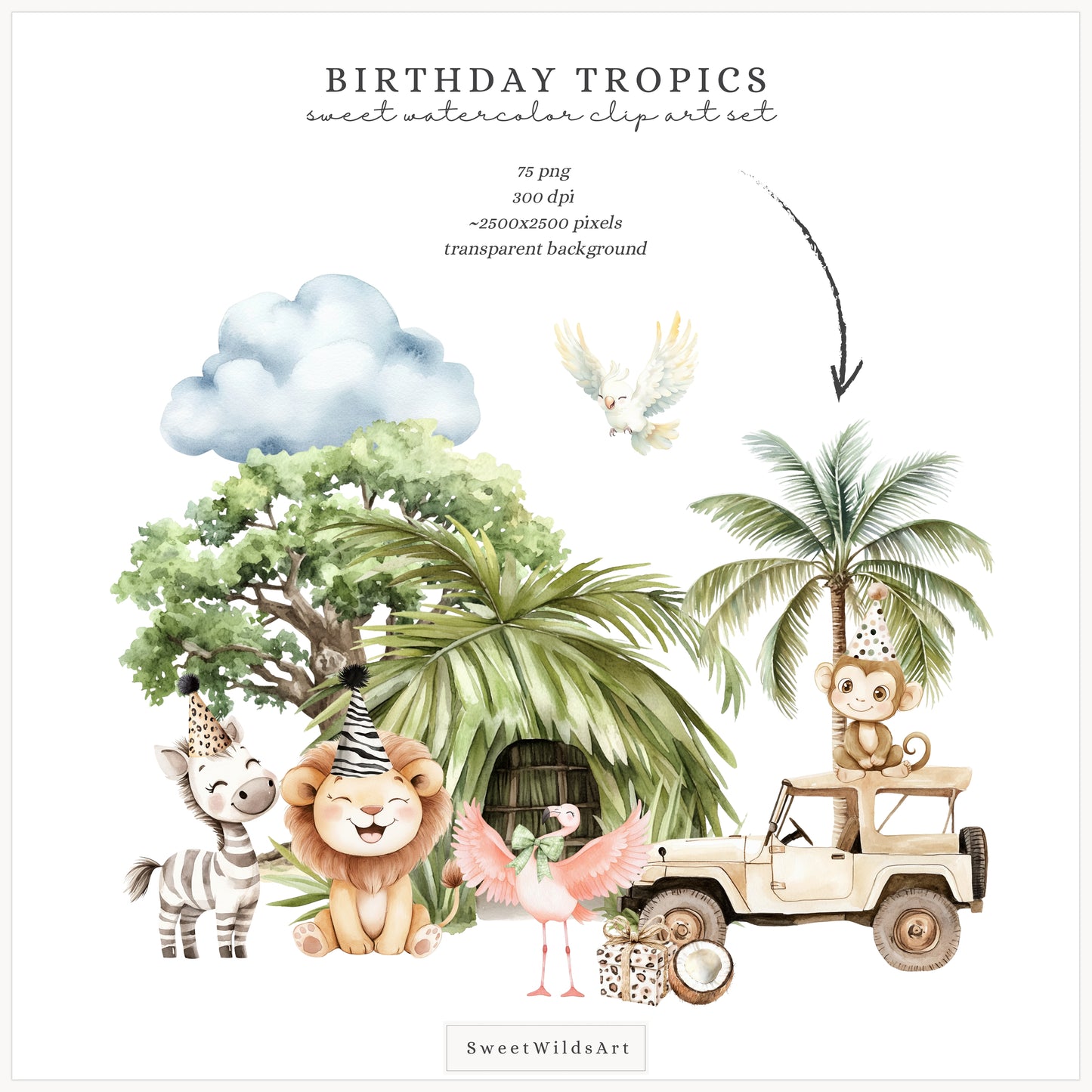 Birthday Tropics - Jungle Clipart, Baby Animals, Tropical, Safari Nursery | 75 PNG