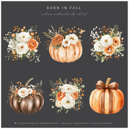 Born In Fall - Floral Arrangements Clipart, Autumn, Pumpkins, Soft Orange & Brown | 12 PNG