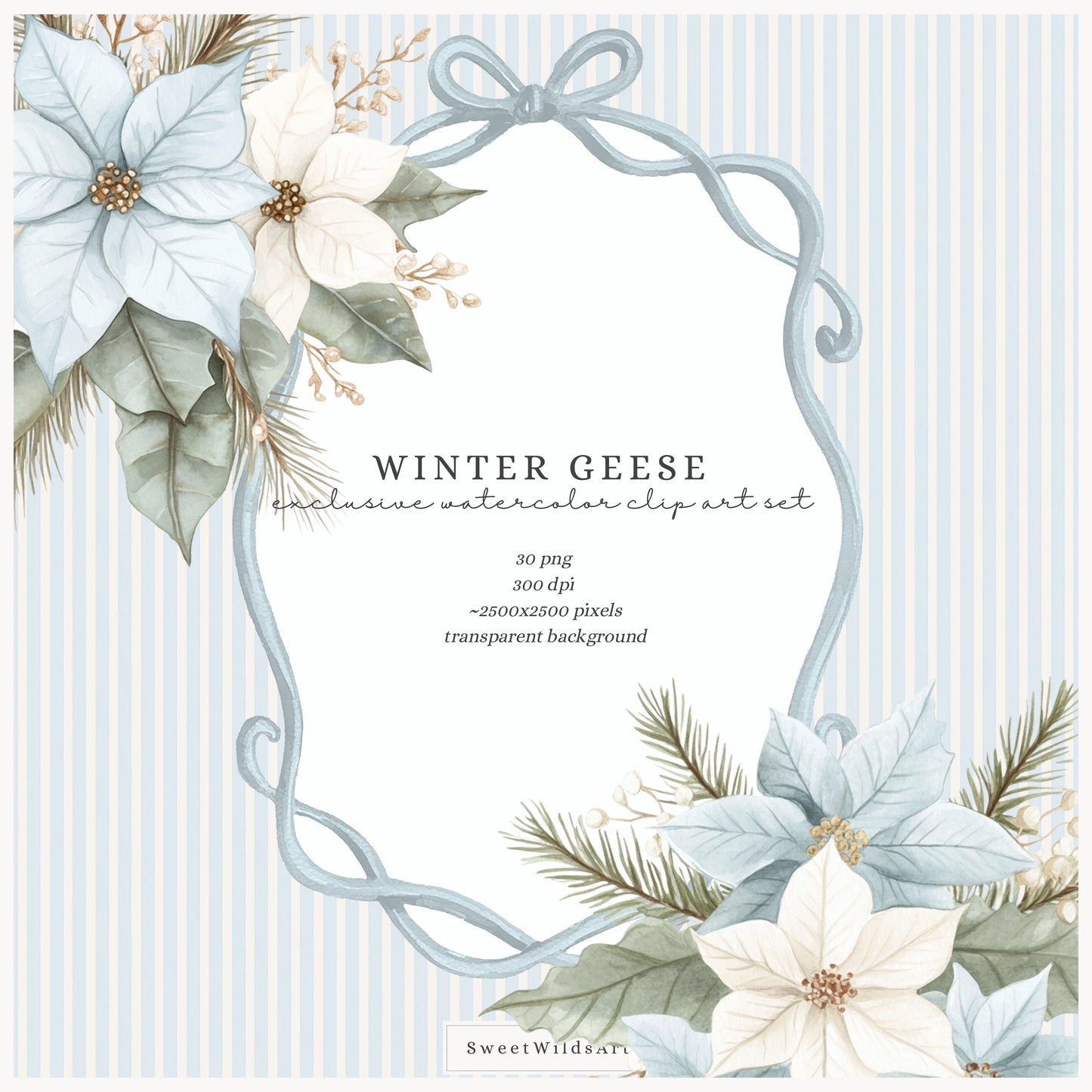 Winter Geese - Winter Floral Arrangements, Poinsettia, Fir Branches, Christmas Ornaments | 30 PNG