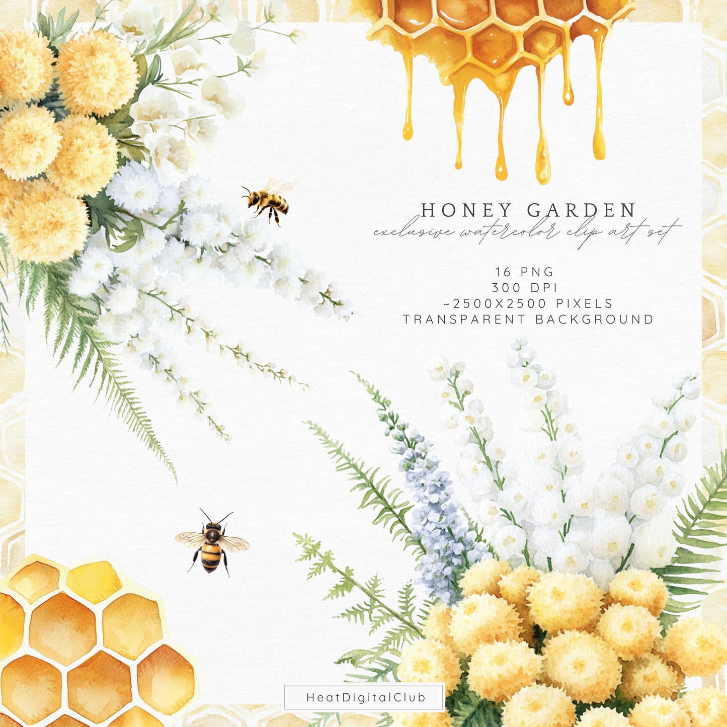 Honey Garden - Floral Arrangements, Yellow Bee Flowers, Chrysanthemum | 16 PNG