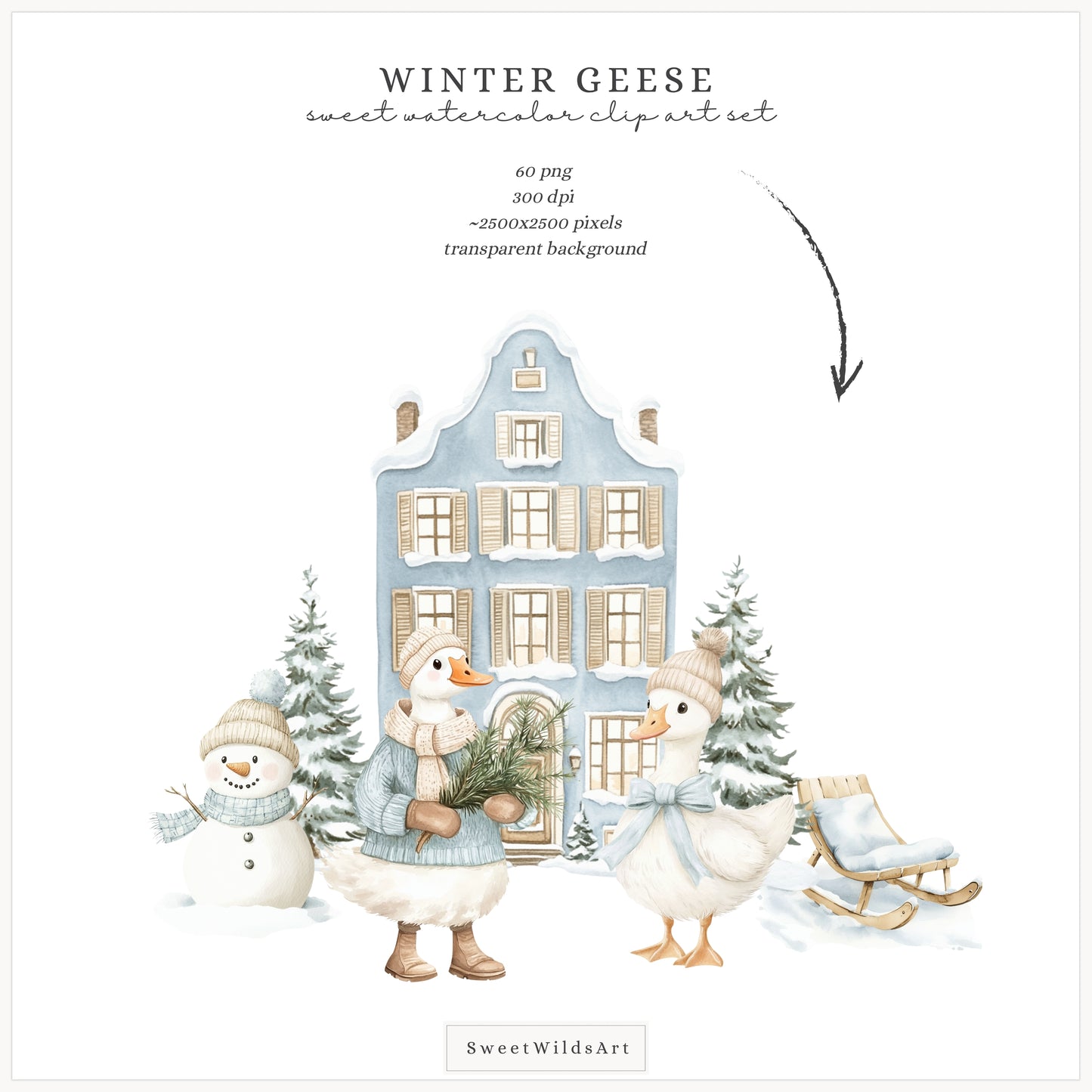 Winter Geese - Clipart, Cute Silly Goose, Cozy Animals, Baby Goose, Baby Shower | 60 PNG