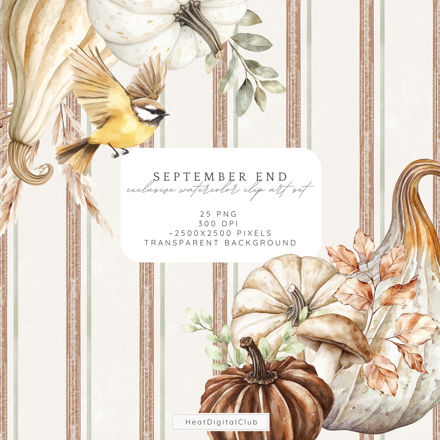 September End - Floral Arrangements Clipart, Dahlias, Sage, Pumpkins | 25 PNG