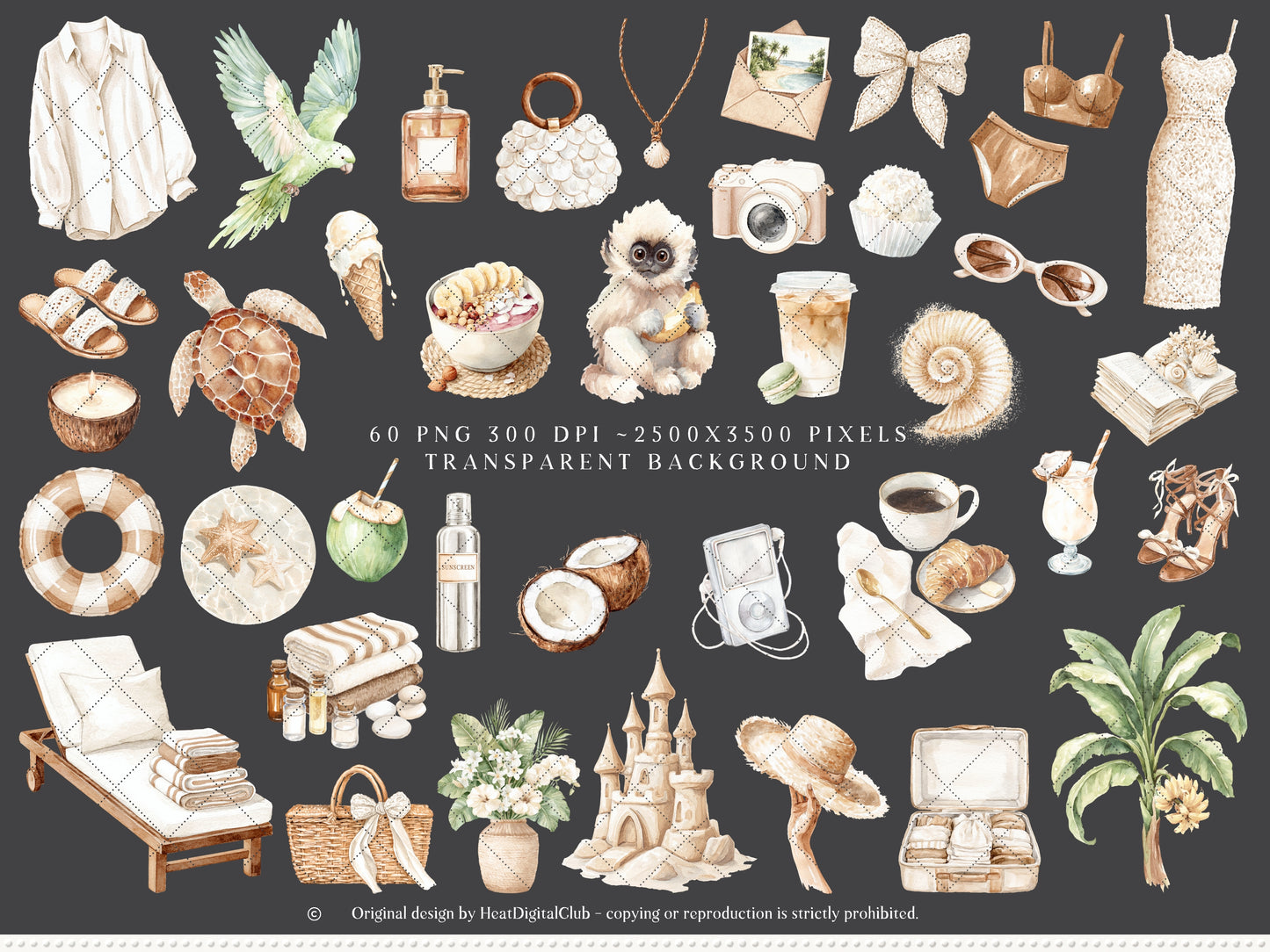 Coconut Dune - Tropical Summer Clipart, Beach Aesthetic, Neutral Coastal Elements, Resort Vacation | 60 PNG