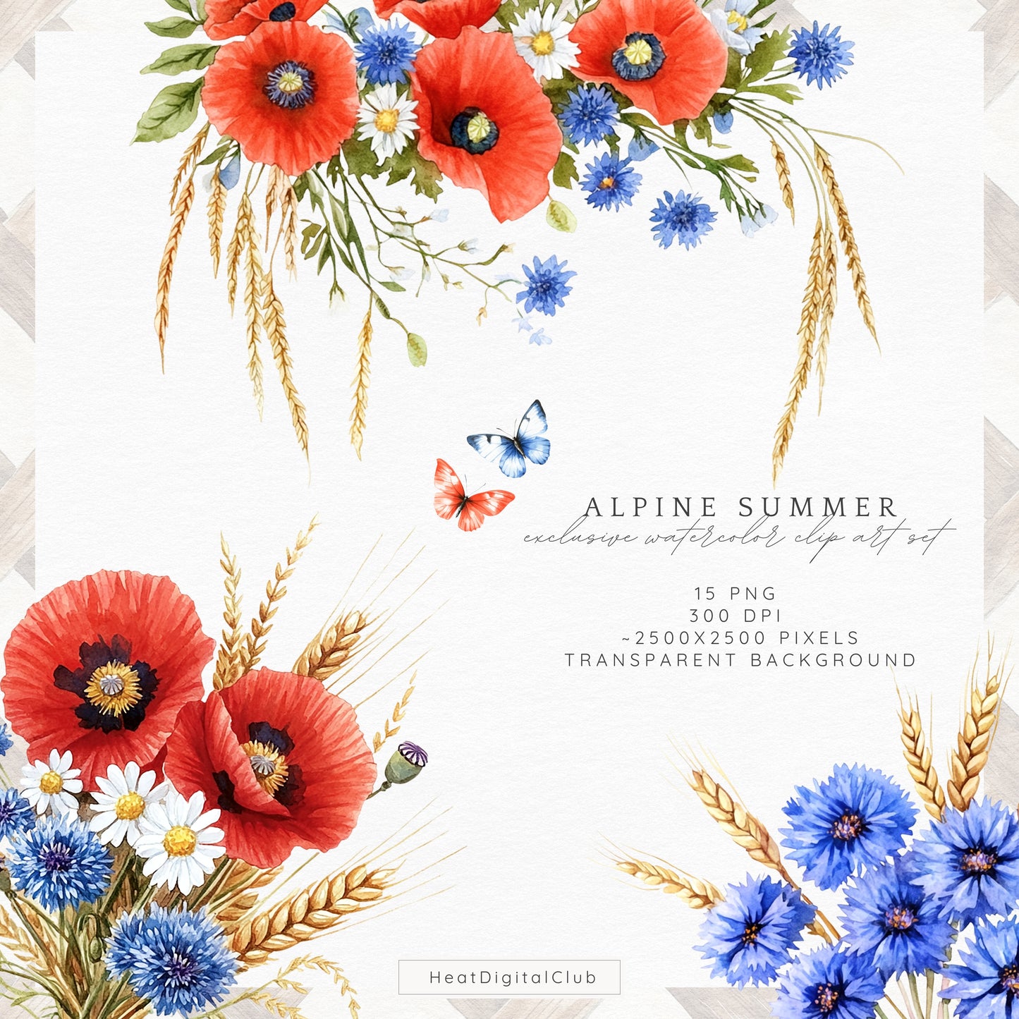 Alpine Summer - Floral Arrangements Clipart, Poppies and Cornflowers | 12 PNG